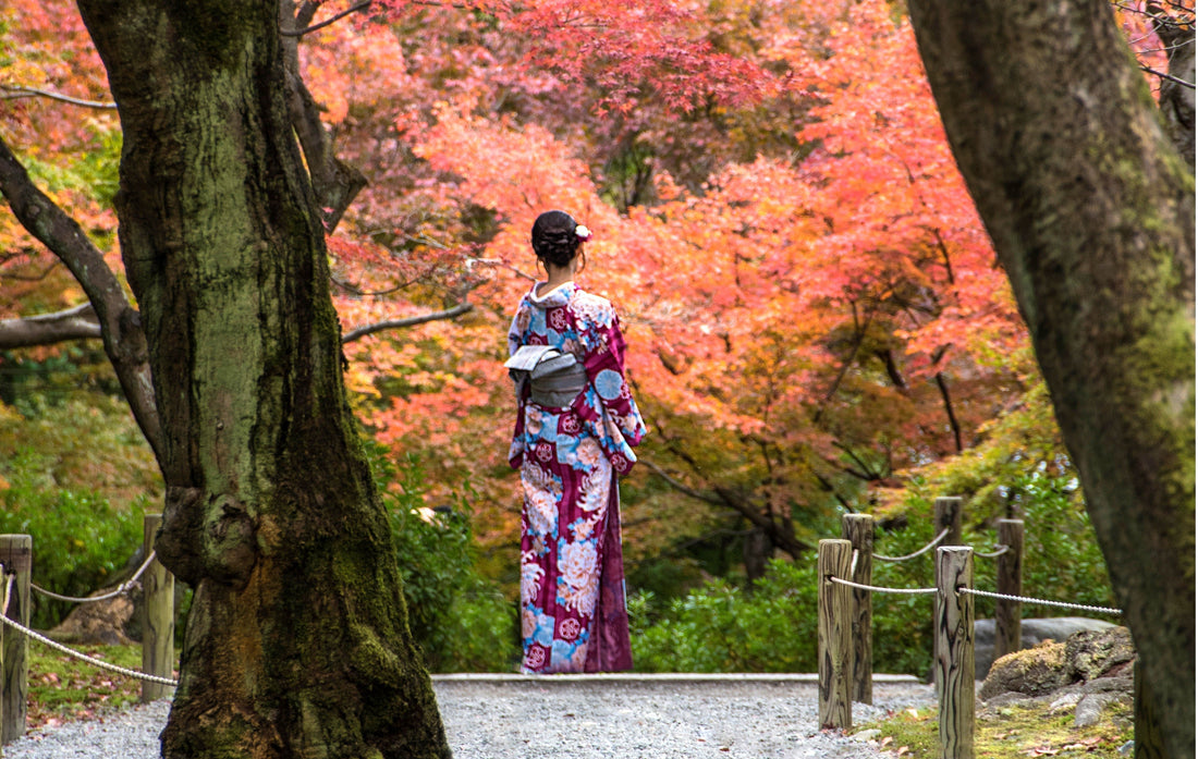 The Best Places to See Autumn Leaves in Japan