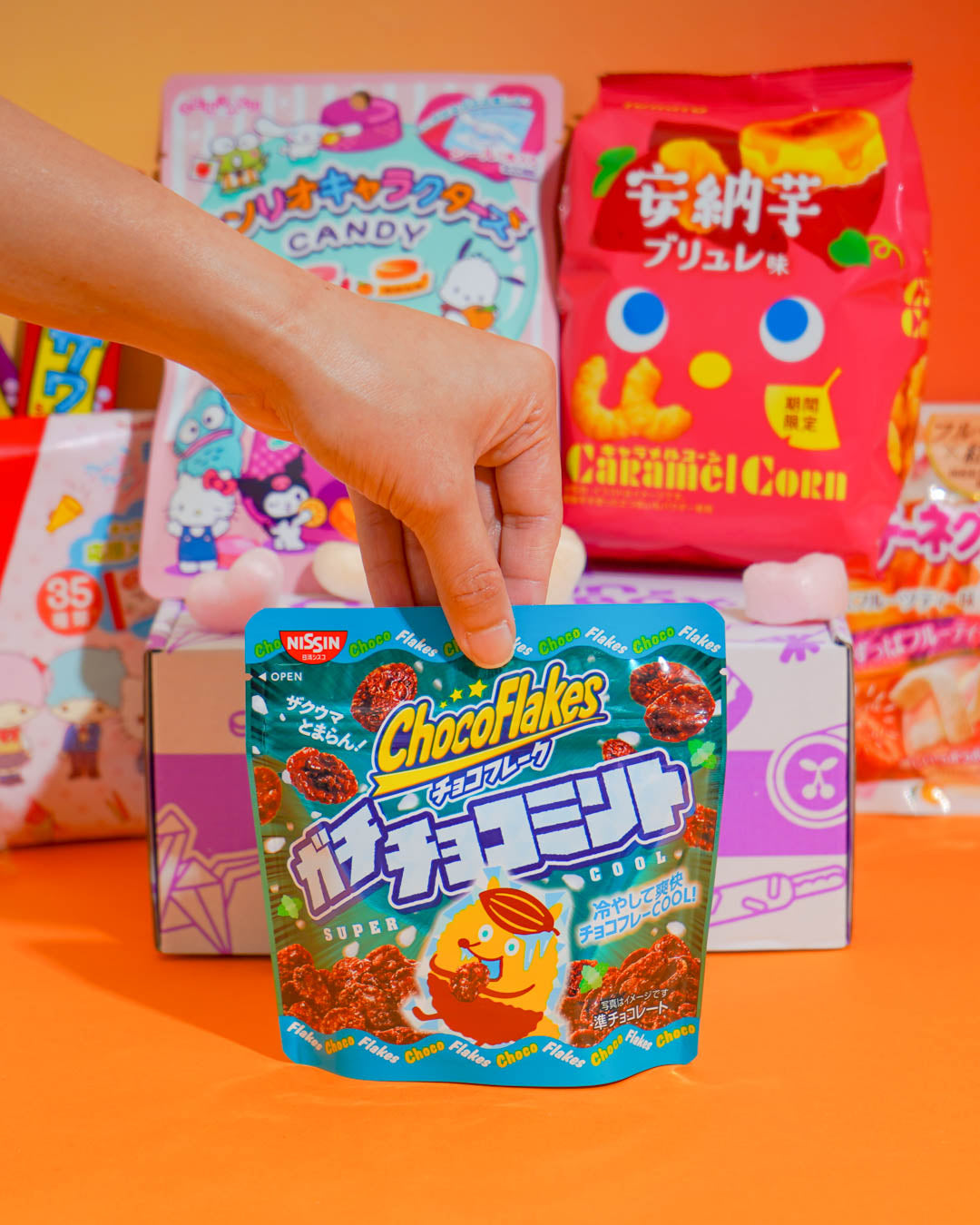 Past Boxes | Japanese Treats We've Included